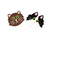 Cats Sticker