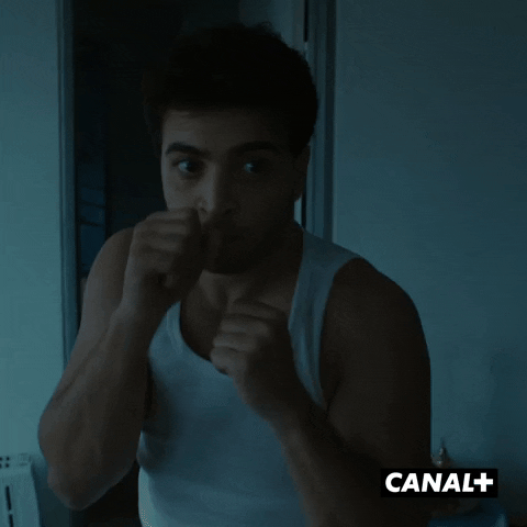 Fight Combat GIF by CANAL+
