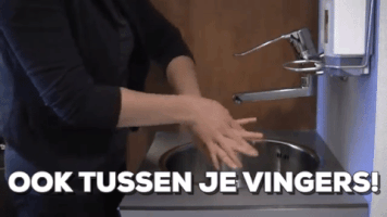 anneliesarendsen  GIF