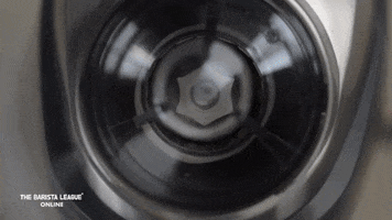 Coffee Grind GIF by The Barista League