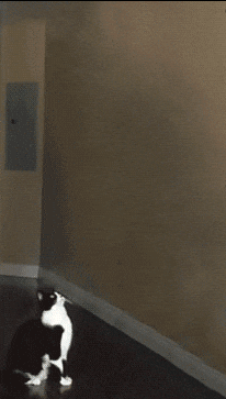 Giphy - Youre Coming With Me Area 51 GIF