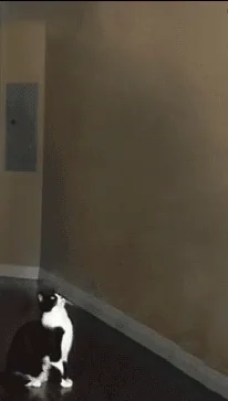 aliens abduction GIF