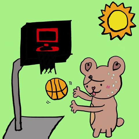 heartycoooool basketball sun ball bear GIF