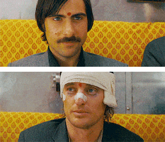 sassy wes anderson GIF