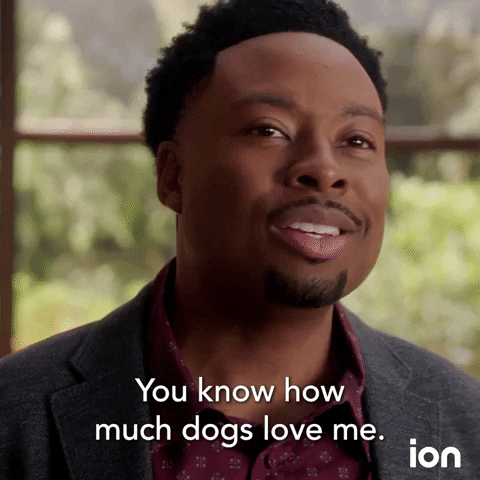 Dogs Bff GIF by ION
