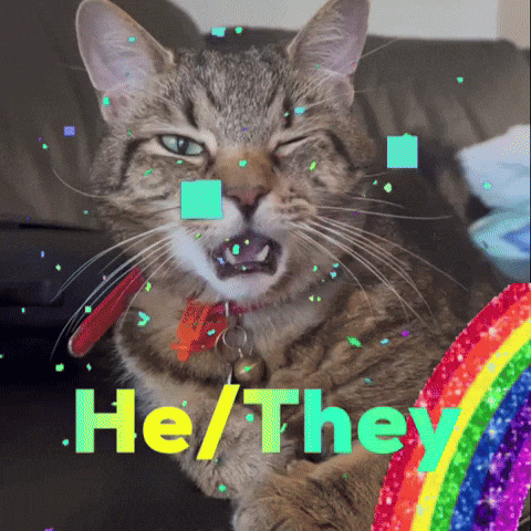 Odie GIF