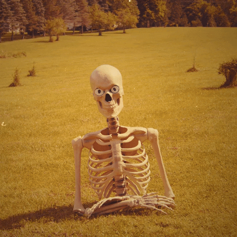 Digital illustration gif. We slow pan towards the top half of what looks like a science class skeleton sitting awkwardly upright in a grassy field, eyeballs filled in with white irises and black pupils looking straight at us, a broad grin and full set of teeth stretching across its face. Text appears with the question, "Well? Where you at?'