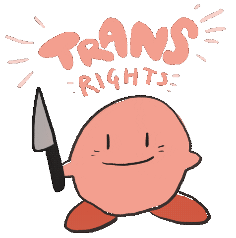 Trans Rights Sticker