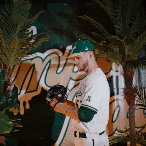 South Florida Baseball GIF by USF Athletics