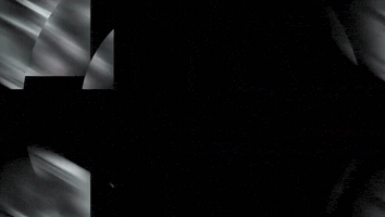 Weds GIF