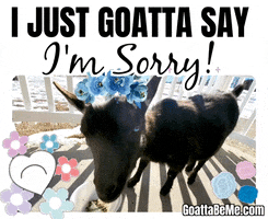 GoattaBeMe love sad animals sorry GIF