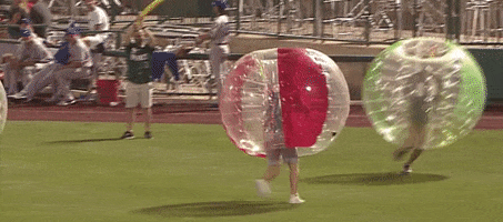 Awesome Fight GIF by Fort Wayne TinCaps