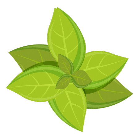 Herbs Basil Sticker by Van Vugt Kruiden