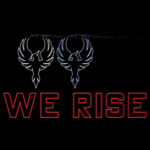 Rise Aquatic Club GIF