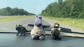 Csb GIF