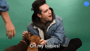 Brendon Urie Babies GIF by BuzzFeed