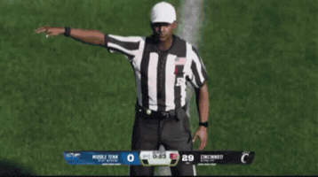 Video Game Football GIF by Bearcat