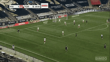 Mls GIF