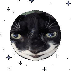 Cat Space Sticker by vootsak