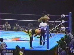 Wwf GIF