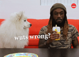 Whats Wrong Dog GIF by BuzzFeed