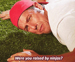 200.gif?cid=fc005b084178d8a8e390cd7379d33beafa0a27bb1bfcceb2&rid=200.gif&ct=g