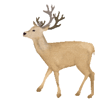 deer animated clipart gif