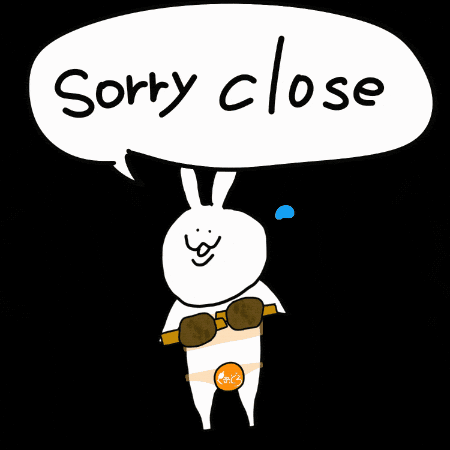 Japan Rabbit GIF