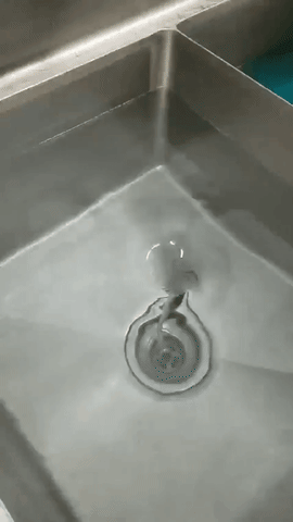 Clogged Drain Gifs Get The Best Gif On Giphy