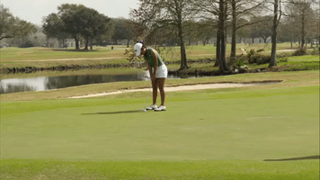 golf wave GIF by GreenWave
