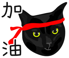 加油 Black Cat GIF