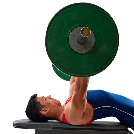 Mitsubishi Motors Chile Sticker