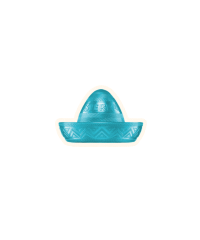 Party Wtf Sticker by Sierra Tequila