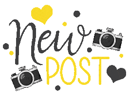 Elnaz Shokrollahi Photography Sticker