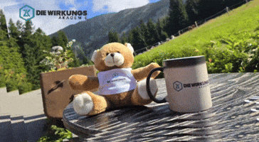 Zk GIF by Die Wirkungskademie