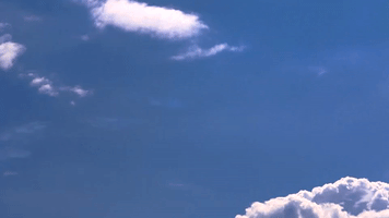 Shark Tank Nascar GIF by Grypmat