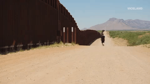Should Mexicans be allowed to cross the border Illegally?  If so why?