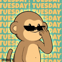 Coffee Work GIF by Wise Monkey Meme