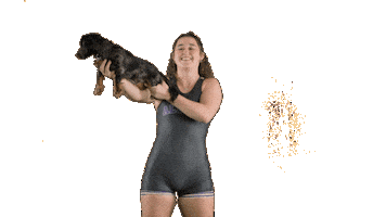 Ppp D3 Sticker by Albion College