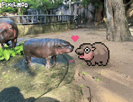 Dance Love GIF