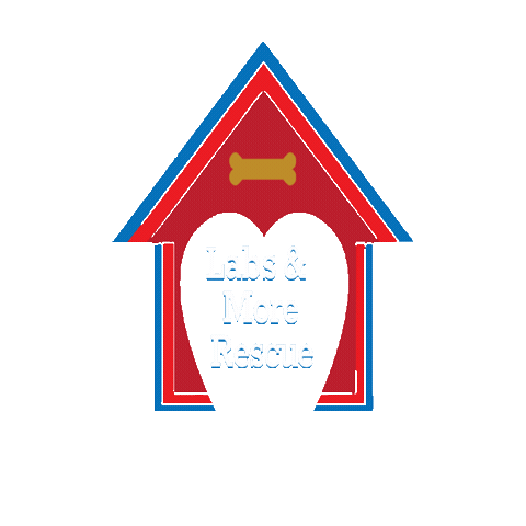 Sticker by LabsAndMore