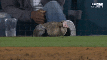 Chilling Rob Lowe GIF by MLB