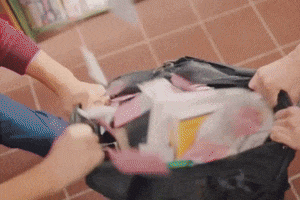 Kdrama GIF