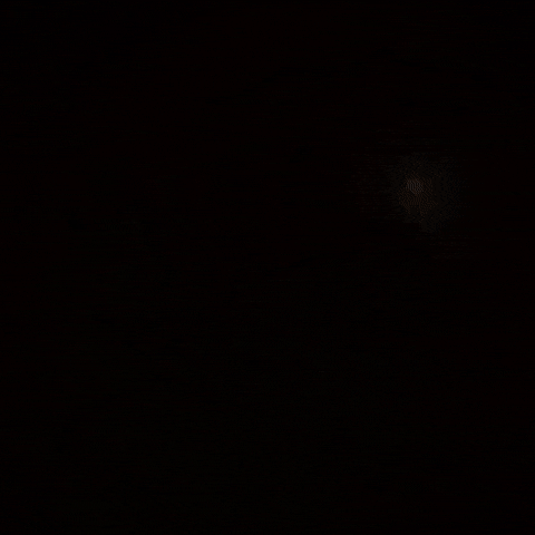 Cat Marching GIF by sillynub