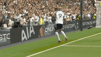 Happy Celebration GIF by Tottenham Hotspur