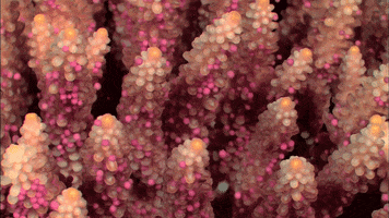 200.gif?cid=fc005b08c244e38d7dd5164ab8b819b0e5a455b82f3c83b8&rid=200.gif&ct=g