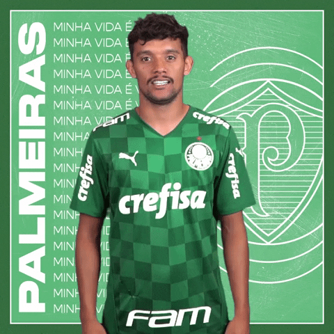 Gustavo Scarpa Soccer GIF by SE Palmeiras