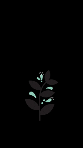 Brixfii blue flower plants leaf GIF