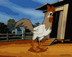 confused chicken GIF