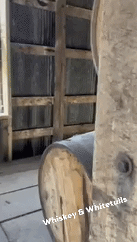 Bourbon Trail Barrel GIF by Whiskey & Whitetails